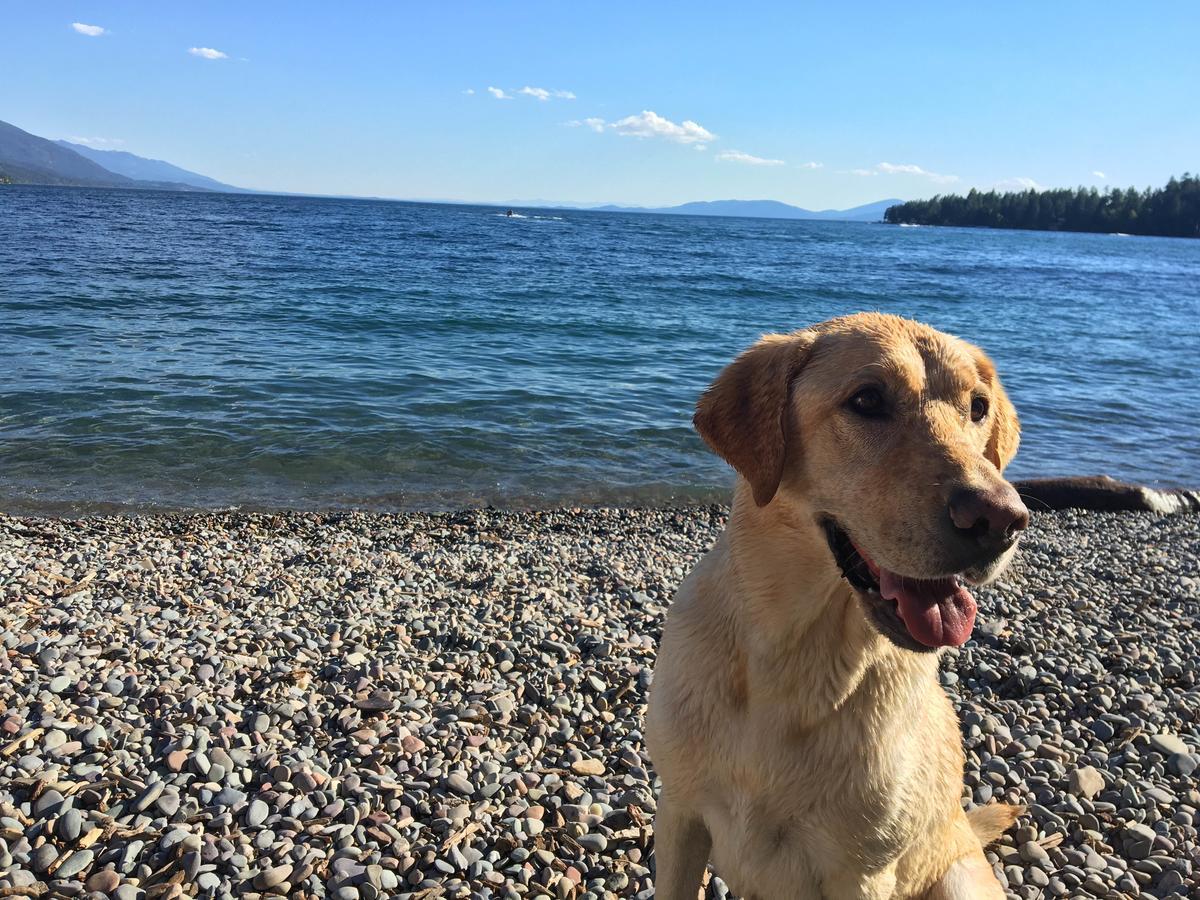 Flathead Lake Resort Woods Bay Экстерьер фото